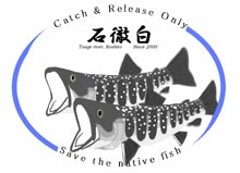 ステッカー(イワナ)